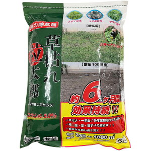  ͂ꗱY u}V5 5kg VZC     u}V  Ɩp  ͏ Gh G쏜 G \h