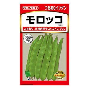 苗 インゲンの人気商品 通販 価格比較 価格 Com