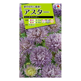 楽天市場 ラベンダー 切り花の通販