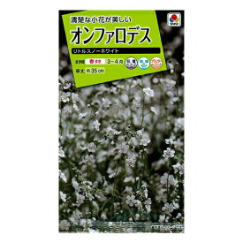 楽天市場 スノーホワイト 苗の通販