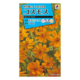 楽天市場 オレンジ コスモスの通販