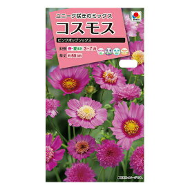 楽天市場 花 Popの通販