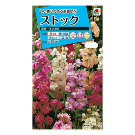 楽天市場 ストック 苗の通販