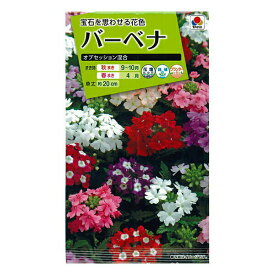 楽天市場 種 バーベナの通販 楽天市場 種 バーベナの通販