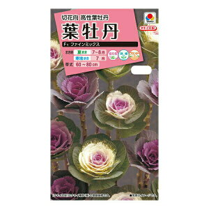 苗 葉牡丹の人気商品 通販 価格比較 価格 Com 苗 葉牡丹の人気商品 通販 価格比較 価格 Com