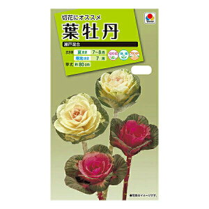 苗 葉牡丹の人気商品 通販 価格比較 価格 Com 苗 葉牡丹の人気商品 通販 価格比較 価格 Com