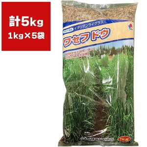 Ŏ ZthE 5kg (1kg×5) ^LCc Ő̎ ł̎    q Ő  Ő q q  q q Ő Ɩp q  Ɩp 