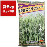 緑肥 えん麦 極早生スプリンター 5kg (1kg×5袋) タキイ種苗 えん麦 種子 えん麦 種 緑肥 種子 緑肥 種 …
