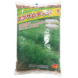 アウェナストリゴサ ネグサレタイジ 20kg(1kg×20袋) タキイ種苗 緑肥種 代金引換不可 送料無料