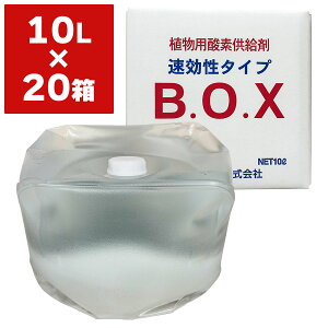 @l Ap_f ^Cv zEfܗL B.O.X r[I[GbNX 10L×20 ۋgY BOX _f   i  Z W Ɩp