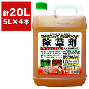  OzGLX t 5L×4{ ԏ镨Y  OzT[g    Ɩp  t  _o^i Gh G΍