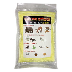YELLOW ATTACK (CG[A^bN) 400g GA[CY  Qb  N}  CmVV  L悯 N} ΍ Qb ΍ CmVV ΍ M2