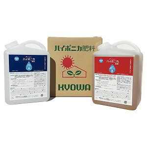 엿 nC|jJ엿 4L×2 a 엿  엿  엿 Ԗ 엿 nC|jJt̔엿 nC|jJ t̔엿 nC|jJ t ؂̔엿 ؔ엿 \엿