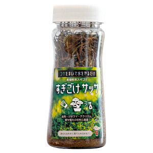 乾燥粉末スギゴケ すぎごけサッサ ビックアロー 盆栽 苔 ジオラマ 苔 テラリウム 苔 寄せ植え コケ 栽培 苔 栽培 コケ栽培 粉末 苔盆栽 観賞用 ウマスギゴケ アウトレット