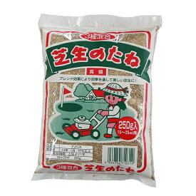 楽天市場 芝 種の通販