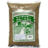 西洋芝の種 ケンタッキーブルーグラス 1kg 種 芝 種 芝生 種 西洋芝 種 種子 芝 種子 芝生 種子 西洋芝 …