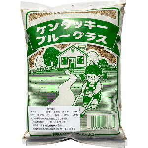 種 ケンタッキーブルーグラスの人気商品 通販 価格比較 価格 Com