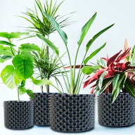 ルートプラスポット ブラック 南榮工業 RootPlusPOT プラスチック鉢