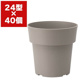 ACR|bg 24^ avX`bN Aؔ  Aؔ Vv    Vv v ϗtA  |bg CeA