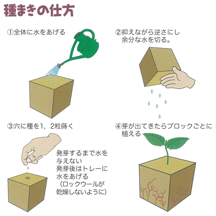楽天市場】ロックウール栽培マット 84P 大和プラスチック 挿し木 楽天市場】ロックウール栽培マット 84P 大和プラスチック 挿し木