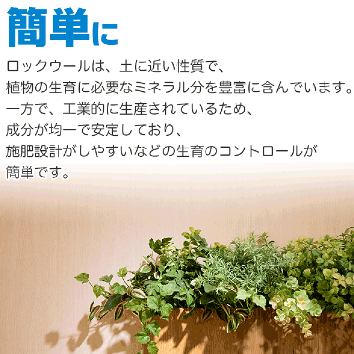 楽天市場 ロックウールブロック 60p 大和プラスチック 挿し木 種まきに最適 育苗マット イーハナス楽天市場店