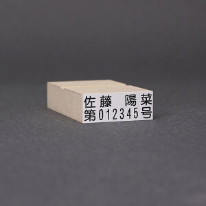 S/S I[_[/S s/S O/炭炭OX^v/2s^Cv/12mmx31mm(5mmx30mm2s)(12mmx31mm)