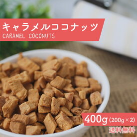 キャラメルココナッツ 400g キャラメリゼ ココナッツ おやつ サクサク ココナッツスナック キャラメルナッツ 香ばしい ココナッツ キャラメルがけ ココナッツキャラメル スナック ココナッツ キャラメリゼ あめ掛け 優しい 甘味 大容量 送料無料