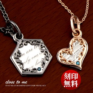 yAlbNX 󖳗 \ Vo[ SV925 u[ _Ch close to me NXEgDE~[ SN13-189/SN13-190 wLTS n[g`[t  TVOu[  () v