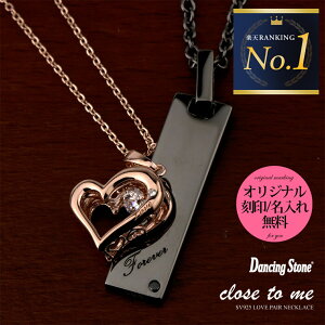 yAlbNX close to me 󖳗 \ Vo[ SV925 _VOXg[ L[rbNWRjA _Ch NXEgDE~[ SN13-191/SN13-220 v[g n[g  v[