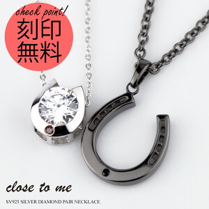 yAlbNX close to me 󖳗 \ Vo[ SV925 _Ch X[p[L[rbNWRjA NXEgDE~[ SN13-195/SN13-201 n`[t  () uh V