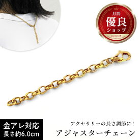 【単品】サージカルステンレス アジャスター ネックレスやブレスレットやアンクレットなどの長さ調節が自在にできるステンレス・アジャスター登場！ジュエリー 通販 ギフト 絆 jbcj [M便 1/20]