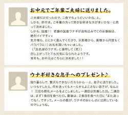 楽天市場 楽天スーパーsale ポイント5倍 増量キャンペーン中 国産うなぎの最高峰 浜名湖うなぎ 大蒲焼180g 肝焼き約2人前 ギフト 無添加のタレ使用 送料無料 浜名湖産 ウナギ 鰻 蒲焼 国内産 静岡県産 本格 高級 あす楽 プレゼント 浜名湖うなぎ専門店 遠州