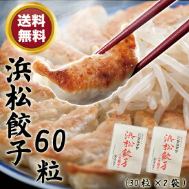【送料無料】化学調味料無添加　浜松餃子60個セット 30個入り×2袋　ご当地餃子の代名詞　添加物不使用 マルマツ　無添加餃子 ギョーザ の街　B級グルメ お取り寄せ ぎょうざ 父の日 お中元 プレゼント誕生日