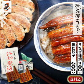 【無添加タレの浜名湖うなぎ】蒲焼 総重量160g（カット蒲焼80g×2) ×2pc + B級グルメ代表 浜松餃子600g（20g×30粒）【送料無料】静岡県産 ウナギ 鰻　国産　国内産　 無添加餃子 ギョーザ ぎょうざ 母の日 花以外