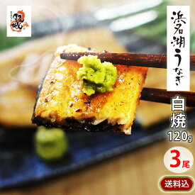 国産うなぎの最高峰 浜名湖うなぎ 白焼き120g×3本　無添加のタレ同梱 ギフト 【 送料無料 】 国産鰻の最高峰　稀少な浜名湖産 ウナギ しらやき◆添加物不使用 秘伝のタレ◆静岡県産 鰻 ◆贈り物 誕生日 父の日 お中元 土用 丑の日 プレゼント