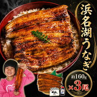 【無添加タレの浜名湖うなぎ】蒲焼 約160g×3尾 ギフト【送料無料】大きめの長蒲焼 稀少な浜名湖産 ウナ…