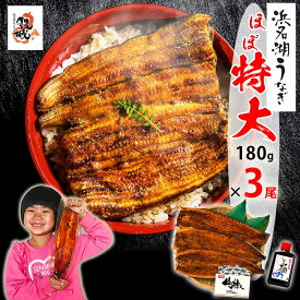 【無添加タレの浜名湖うなぎ】蒲焼(160g⇒180g増量中）×3尾 約6人前 ギフト ほぼ特大サイズ【送料無料】稀少な浜名湖産 ウナギ 産地限定 ◆添加物不使用 秘伝のタレ◆ 国産 静岡県産 鰻 ◆贈り物 誕生日 父の日 お中元 土用 丑の日 プレゼント