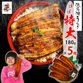 【無添加タレの浜名湖うなぎ】蒲焼(160g⇒180g増量中）×5尾 約10人前 ギフト【送料無料】ほぼ特大サイズ 稀少な浜名湖産 ウナギ 産地限定 ◆添加物不使用 秘伝タレ◆ 静岡県産 鰻 ◆贈り物 誕生日 父の日 お中元 土用 丑の日 プレゼント