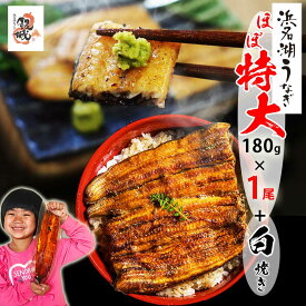 【無添加タレの浜名湖うなぎ】蒲焼(160g⇒180g増量中）×1尾 ＋ 白焼き120g×1尾 ギフト 【送料無料】国産鰻の最高峰 ウナギ 産地限定 しらやき◆添加物不使用 秘伝のタレ◆静岡県産 鰻 ◆贈り物 誕生日 父の日 お中元 土用 丑の日 プレゼント