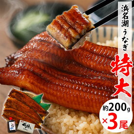 【無添加タレの浜名湖うなぎ】特大蒲焼200g×3尾 約6人前 ギフト【送料無料】国産鰻の最高峰　稀少な浜名湖産 肉厚 ウナギ 産地限定◆添加物不使用 秘伝のタレ◆ 国内産 静岡県産 鰻◆贈り物 誕生日 父の日 お中元 土用 丑の日 プレゼント