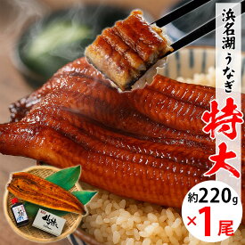 【無添加タレの浜名湖うなぎ】特大蒲焼220g×1尾 約2~3人前 ギフト【送料無料】当店最大級サイズ 脂が乗った 稀少な浜名湖産 国産鰻の最高峰 肉厚 ウナギ◆添加物不使用 秘伝タレ◆ 静岡県産◆贈り物 誕生日 父の日 お中元 土用 丑の日 プレゼント