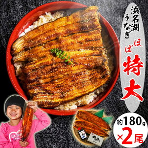 yY^̕l΂Ȃz(160g 180gʒj×2@4lO Mtg قړTCYyzHȕlΎY EiM Yn Ysgp `̃^蕨 Ε v