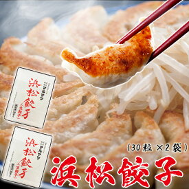 【送料無料】化学調味料無添加　浜松餃子60個セット 30個入り×2袋　ご当地餃子の代名詞　添加物不使用 マルマツ　無添加餃子 ギョーザ の街　B級グルメ お取り寄せ ぎょうざ お歳暮 プレゼント【レビュー特典あり】誕生日