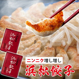 【送料無料】ニンニクスライス入り　浜松餃子60粒（30粒入り×2袋）　ガーリックスライス入り　マルマツ　無添加　化学調味料不使用 添加物不使用 にんにく ギョーザ 　スタミナ　ぎょうざ　誕生日　B級グルメ お歳暮 プレゼント【レビュー特典あり】