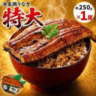 【浜名湖うなぎ 特大蒲焼 やわら華】当店最大サイズ約250g×1尾 ギフト【送料無料】大豆イソフラボンを与…