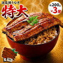 【今だけP5倍！】【浜名湖うなぎ 特大蒲焼 やわら華】約200g×3尾 ギフト【送料無料】大豆イソフラボンを与えて匠が育てた 浜名湖産 うなぎ 肉厚でふっくら柔らか めす ウナギ 添加物不使用 無添加 秘伝の焼きタレ 静岡産 国産 鰻◆誕生日プレゼント 母の日 父の日