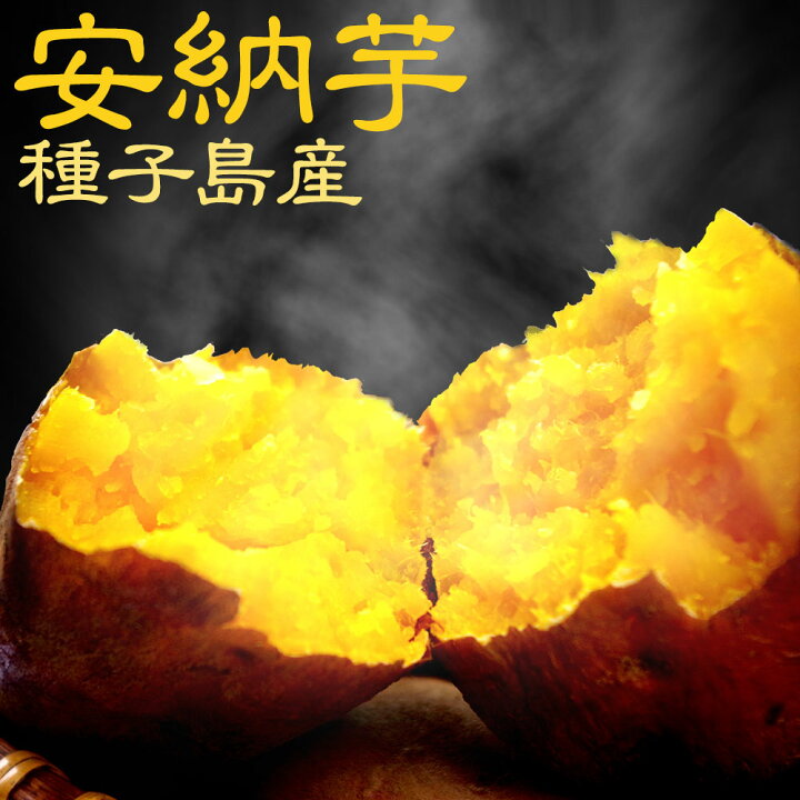 楽天市場 安納芋 訳あり 10kg 送料無料 種子島産 長期熟成 通販 取り寄せ 焼き芋 あんのういも さつまいも 11月下旬 12月中旬旬より出荷予定 観光地応援 バーベキュー キャンプ Sale セール バレンタイン 干物と麦焼酎 玄海屋