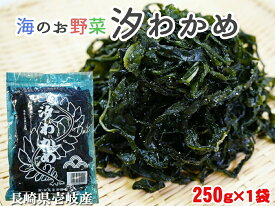 【わかめ 国産】 汐ワカメ 250g 【汐わかめ ワカメ 海藻 玄界灘 おかず グルメ 味醂 長崎県 壱岐】 バーベキュー プレゼント 実用的 SALE セール 御年賀 年賀 内祝 祝 敬老の日
