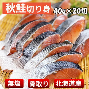 _ }\ z ^ kCY  H 40g 20؂ Y  VR   kC[Ⓚ] |Cg o[xL[  TP v[g pI h50h  䒆 