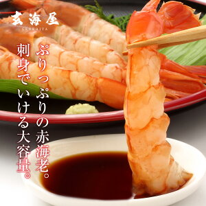 ՂՂVRԃGr A[`ԃGr ƖpՂ2kg 40`60 o[xL[ v[g pI 䒆  
